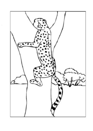 cheeta kleurplaat