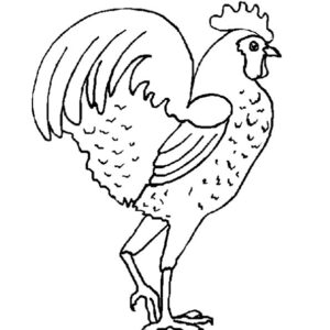 haan kleurplaten hanen